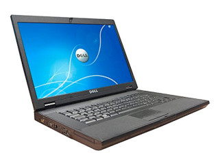 Dell E5500 15.4"