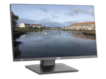 Fujitsu P27-8 TS Pro 27'' IPS 16:10 | Reacondicionado | 2560x1440