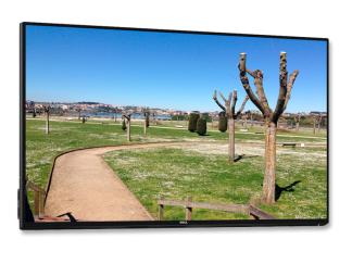 Dell U2417H 24'' Led 16:9 | Refurbished | 1920x1080