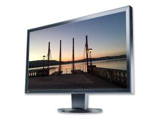 Eizo FlexScan EV2316W 23'' Led 16:9 | Recondicionado | 1920x1080