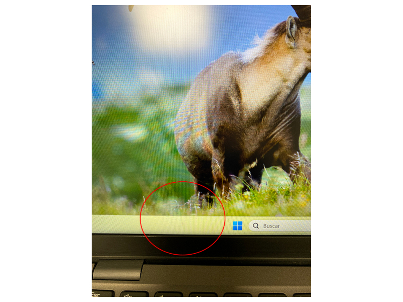 Dell Latitude 5401 14'' | Reacondicionado | Core i5 2.5GHz | 16 GB RAM | 256 GB SSD M2 1920x1080 - Imagen 3